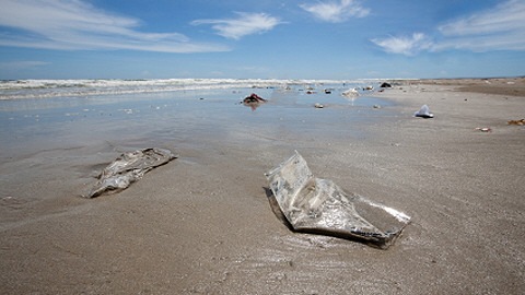Pollution sur la plage