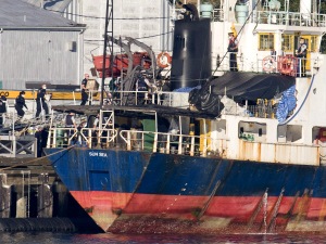 Des policiers et des militaires, portant des masques sanitaires, montent à bord du MV Sun Sea, le 13 août 2010.