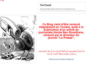 Le blogue Journaliste tunisien 9