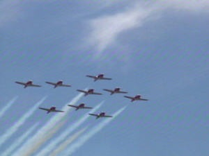 Snowbirds