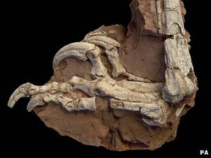 Balaur bondoc