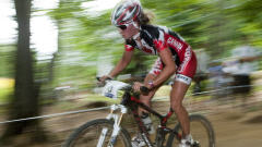 Emily Batty