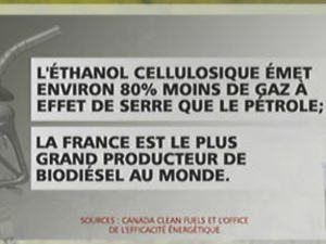 L'éthanol cellulosique, moins polluant que le pétrole, pourrait être une solution d'avenir.
