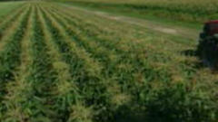 terre agricole (archives)