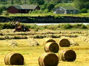 Agriculture