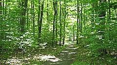 Parc du Mont-Saint-Bruno