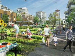 Le projet du cabinet Perkins + Will