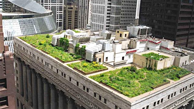 Urbanisme vert