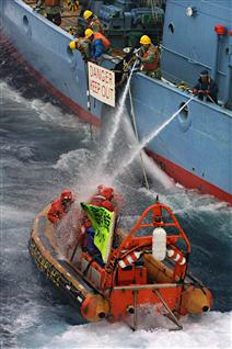 Des Japonais arrosent des activistes de Greenpeace à l'aide de canons à eau, le 16 décembre 2001.