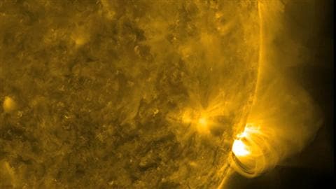 Cette image de la NASA montre la forte activité à la surface du Soleil ces derniers jours et les arcs électromagnétiques qui en résultent.