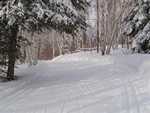 Ski de fond