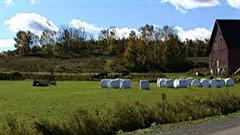 Un terrain agricole � Dunham