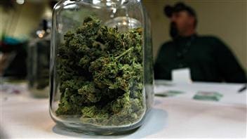 Cannabis destiné à un usage médical (archives)