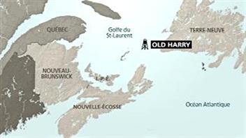 Old Harry