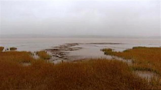 Marais