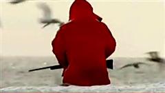 Un chasseur de phoque