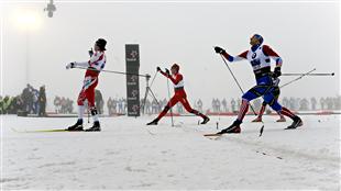harveyoslo