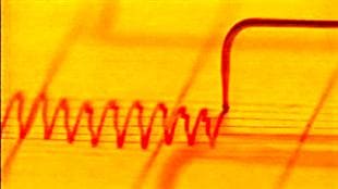 Le test du polygraphe permet-il d'établir la crédibilité d'un témoin?