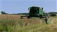 Agriculture