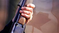 Le registre des armes à feu en chiffres