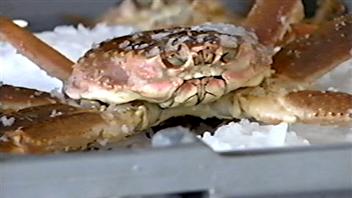 Crabe