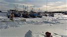 Un regard scientifique sur le Plan Nord