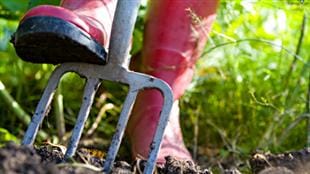 Début de la saison du jardinage