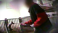 Image tirée du reportage d'Enquête sur le Berger blanc