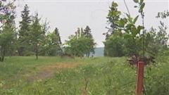 Le terrain acheté par Jacques Fortin en 2006