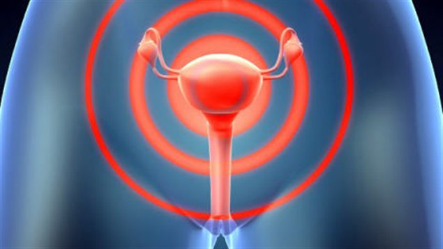 Le système reproducteur féminin