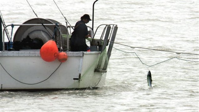 Pêcheur sur la rivière Fraser, en Colombie-Britannique