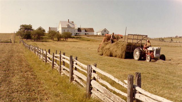 Agriculture