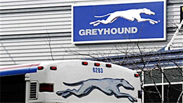 Greyhound