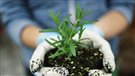 Suggestions de livres d'horticulture urbaine