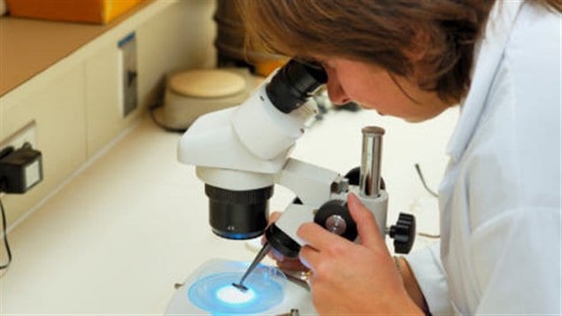 Recherche scientifique
