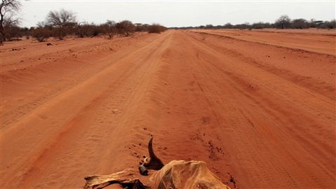 Une route non loin de la ville de Wajir, au Kenya (6 juillet 2011)