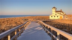 Cape Cod