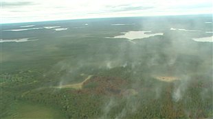 La prudence est de mise pour éviter les incendies de forêt