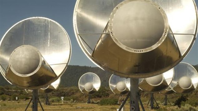 Une partie des antennes qui forment le télescope