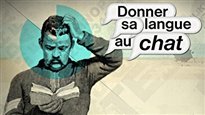 La langue française dans la communication virtuelle