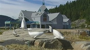 Tadoussac : le Centre d'interprétation des mammifères marins à la recherche de financement