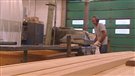 Les employeurs en mode embauche au pays