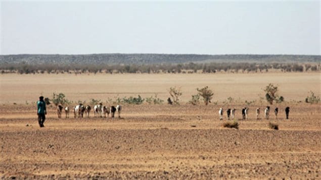 desert touareg niger