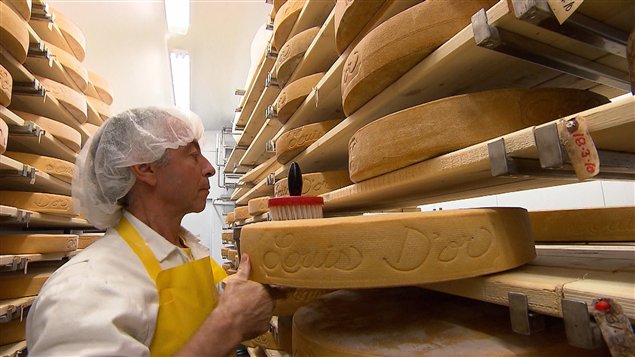 Le fromager Jean Morin proc�de � l'affinage du Louis  d'or, un fromage maintes fois prim�.