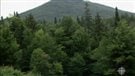 Le projet de parc national d'Opémican expliqué aux citoyens de Témiscaming