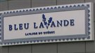 L'entreprise Bleu Lavande est rachetée
