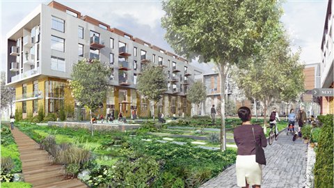Projet Petite Rivière
