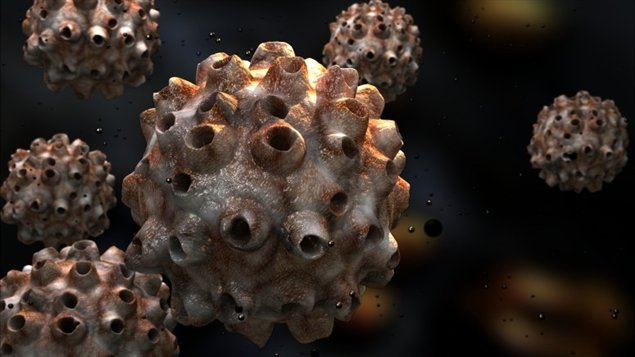 Représentation du papillomavirus humain