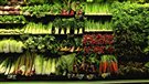 Section alimentation