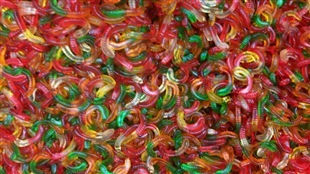 Des friandises pour le port du casque de vélo